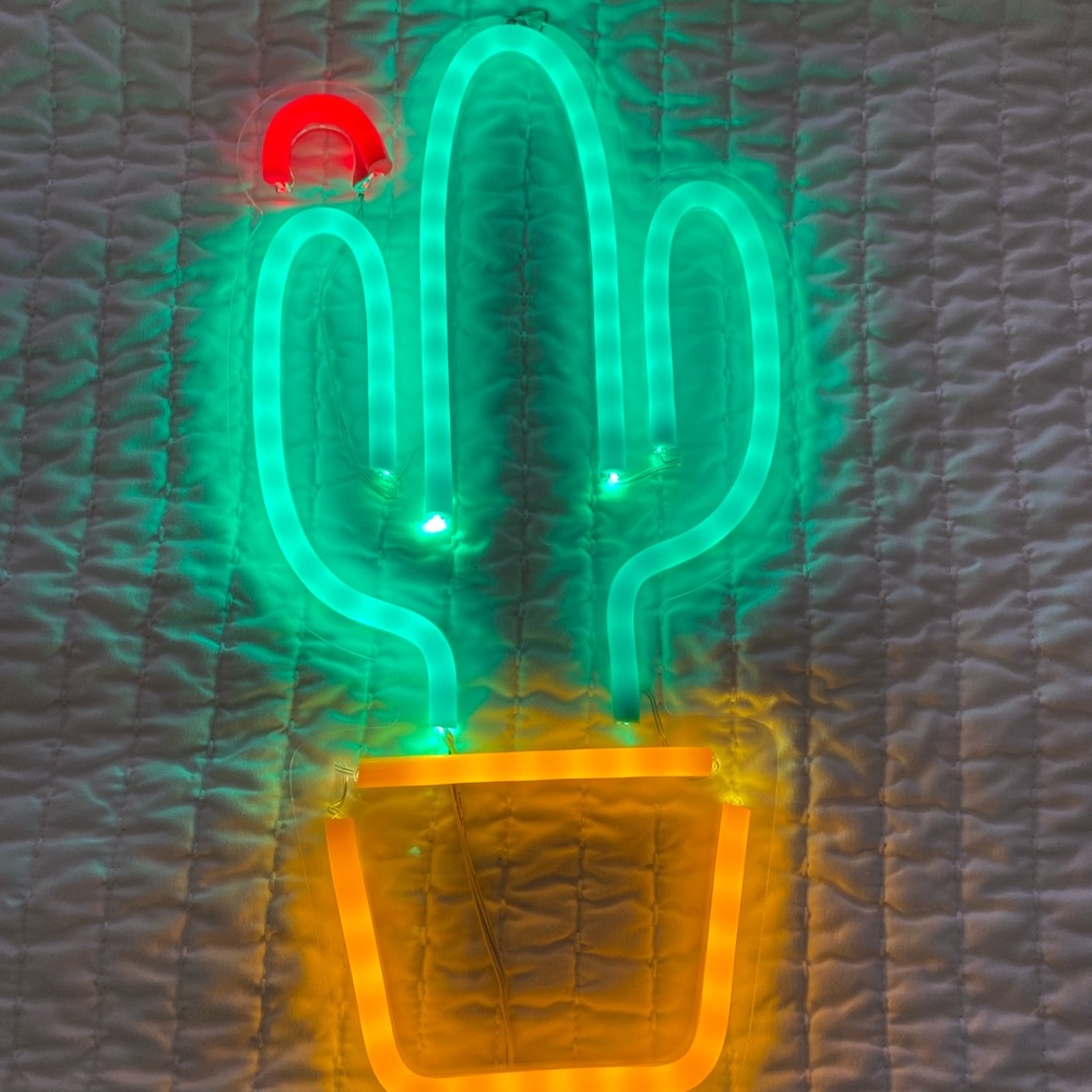 Neon Cactus Funky Fun Light